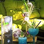 Marleen's Bar Und Nocleg ze śniadaniem Zehdenick